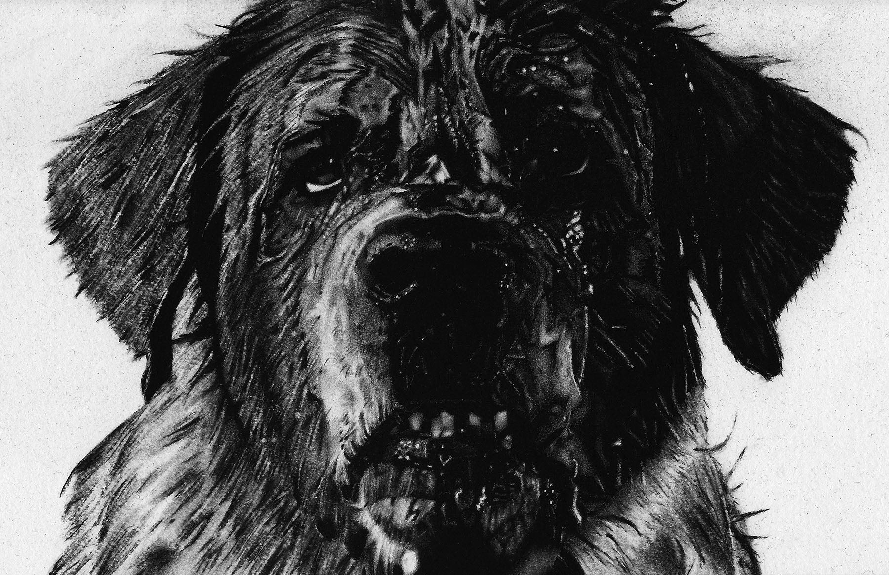 Cujo 11x17 Art Print